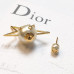 dior-earrings-17