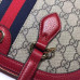 gucci-ophidia-bag-13