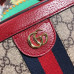 gucci-ophidia-bag-22